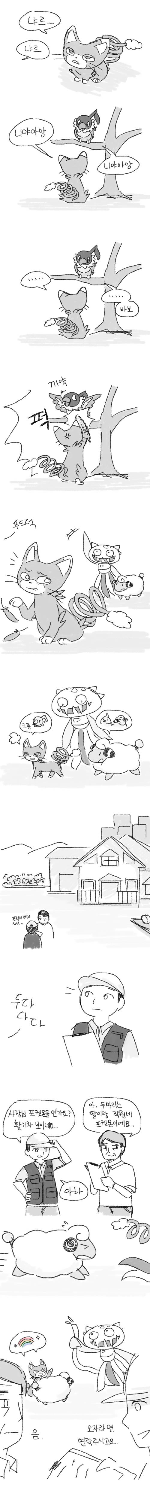 [포켓몬] 일상다반사 8 | 인스티즈