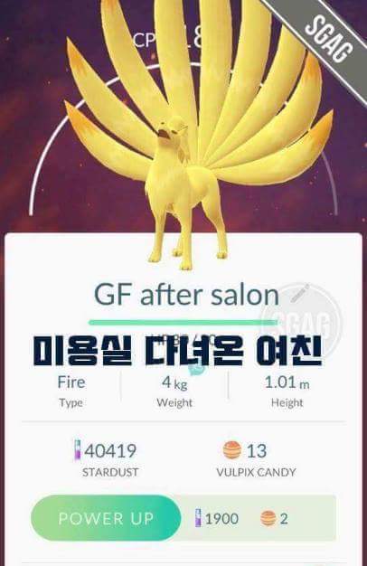 천조국의 흔한 포켓몬고 작명.jpg | 인스티즈