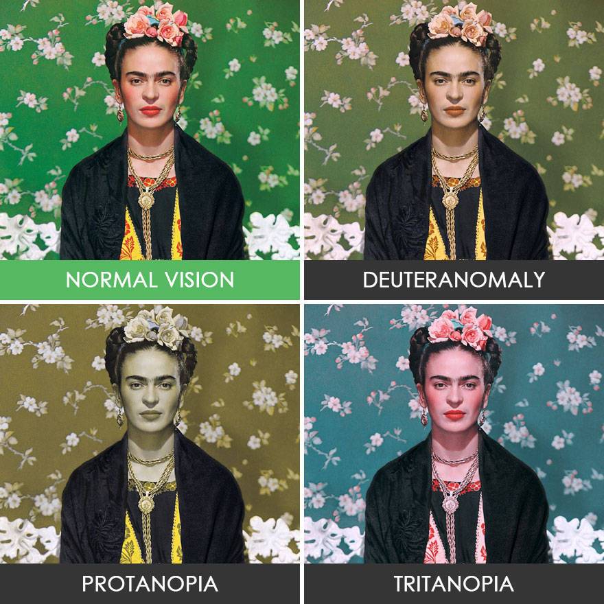 색각 이상인들 눈에 보이는 세상 | 인스티즈