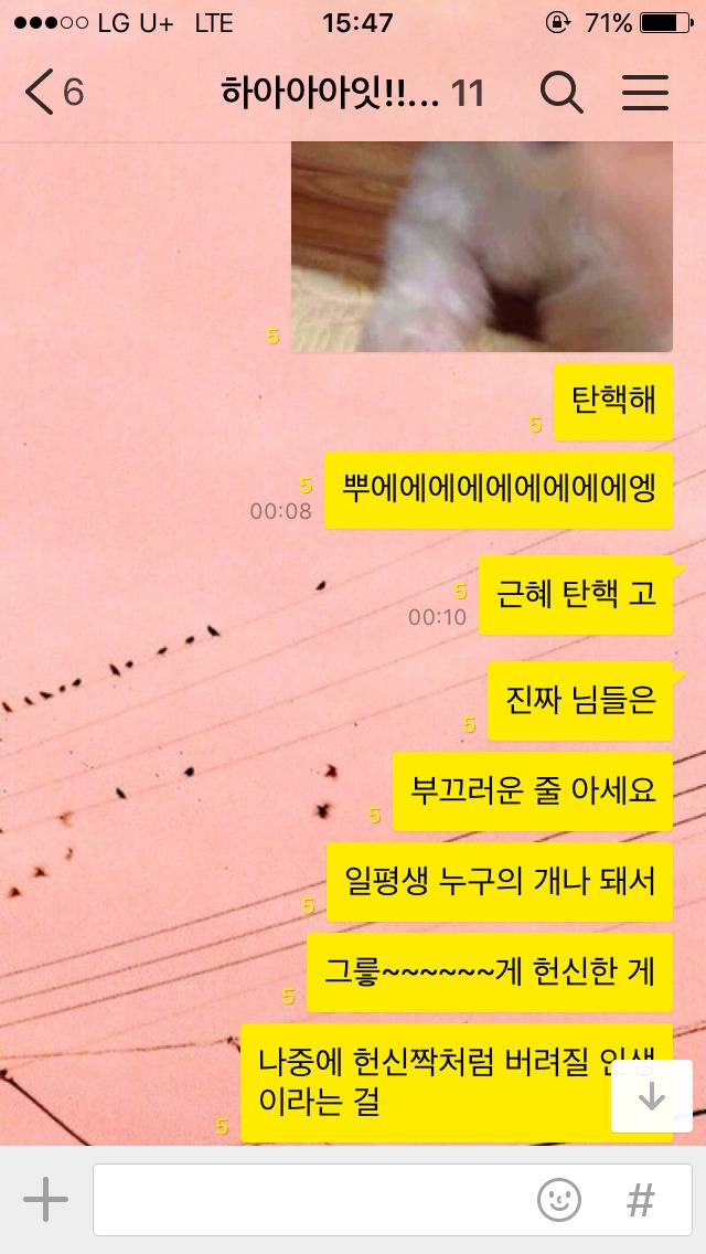 어느 약빤사람의 국회의원들 카톡 | 인스티즈