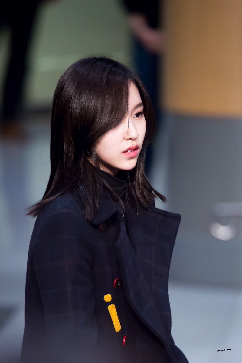 묘이 미나 | 인스티즈