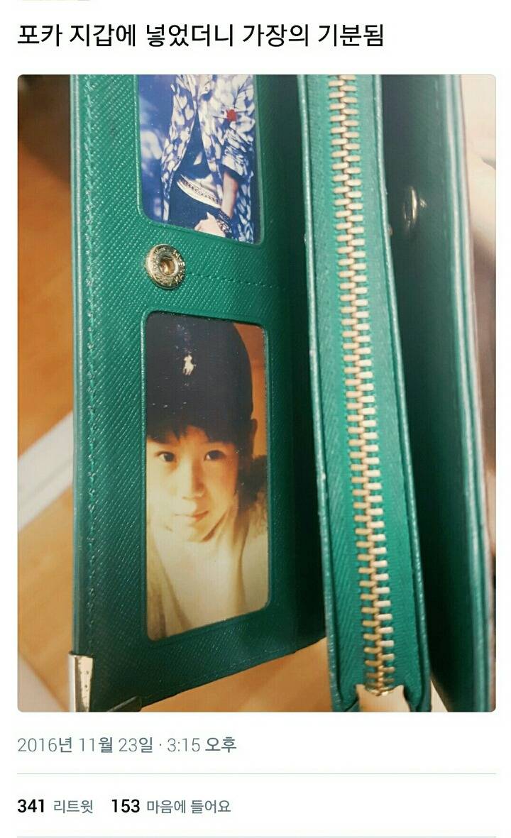 포카 지갑에 넣었더니 가장의 기분됨 | 인스티즈