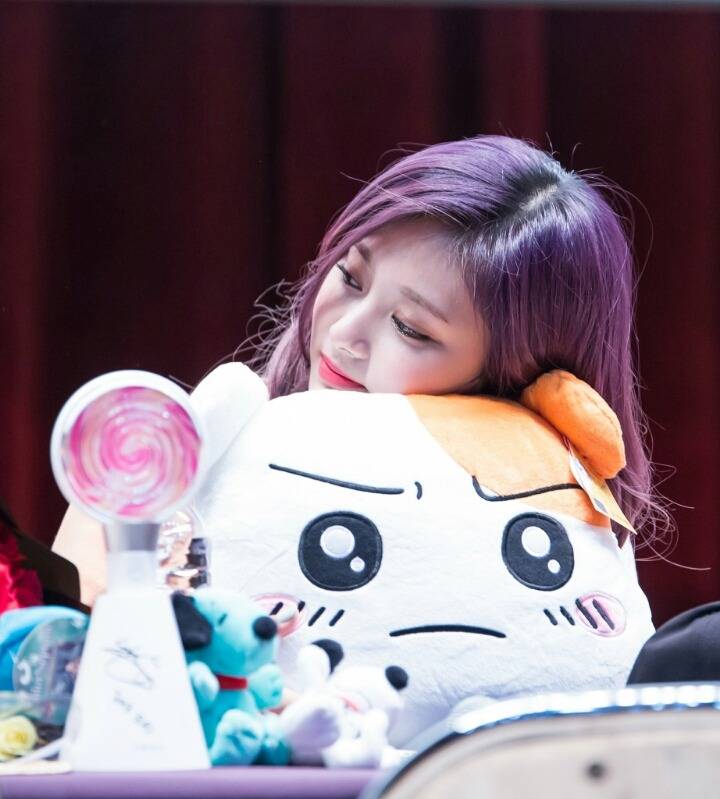 [트와이스] 멍뭉이 같은 쯔위 | 인스티즈