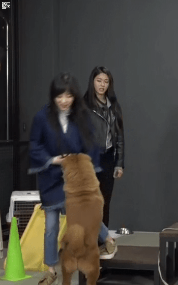 AOA 민아 개당황....jpgif | 인스티즈