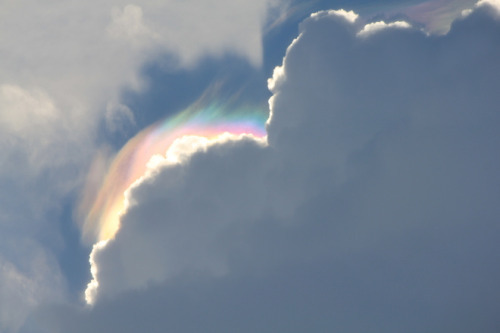  마지막 사랑은 어떤 모습으로 기억될까 | 인스티즈