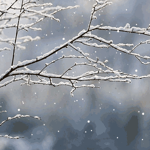 겨울 움짤 모음 | 인스티즈