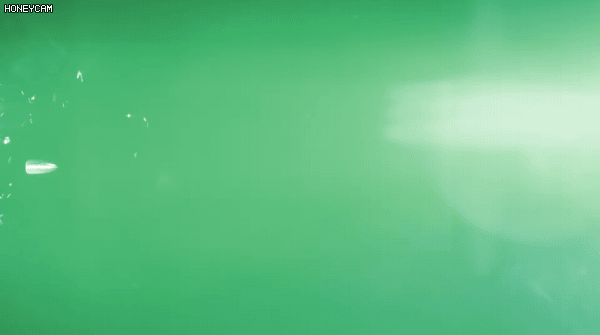 오버워치 리그 각 팀별 로고.gif | 인스티즈