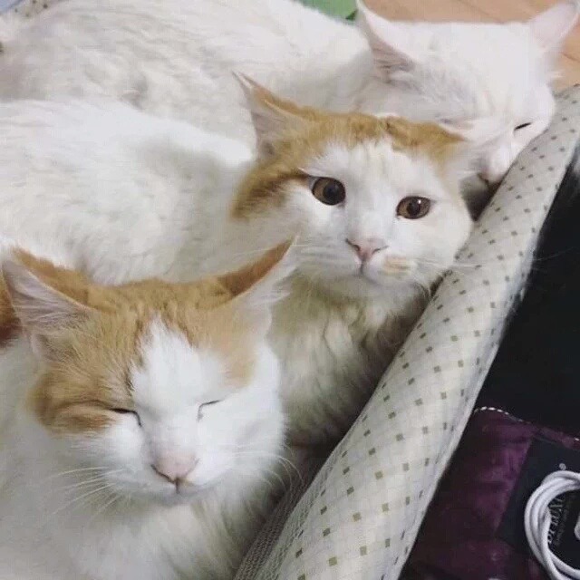 여행 못가는 이유.jpg | 인스티즈