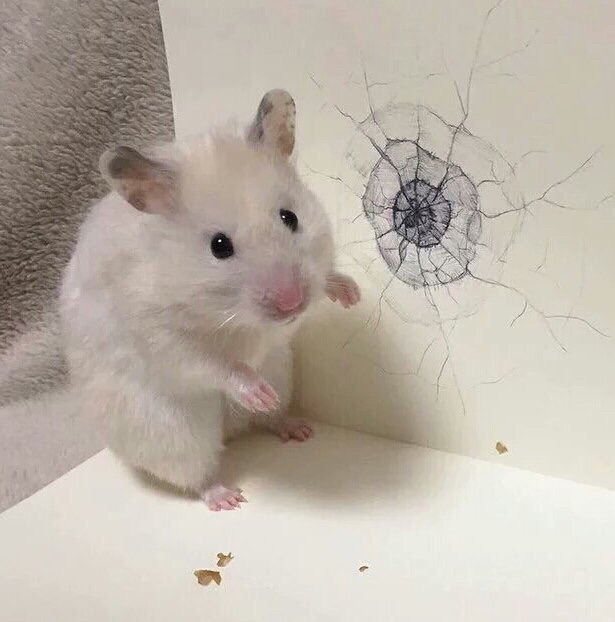 오바마 대통령 취임식때와 트럼프 대통령 취임식때 비교 | 인스티즈