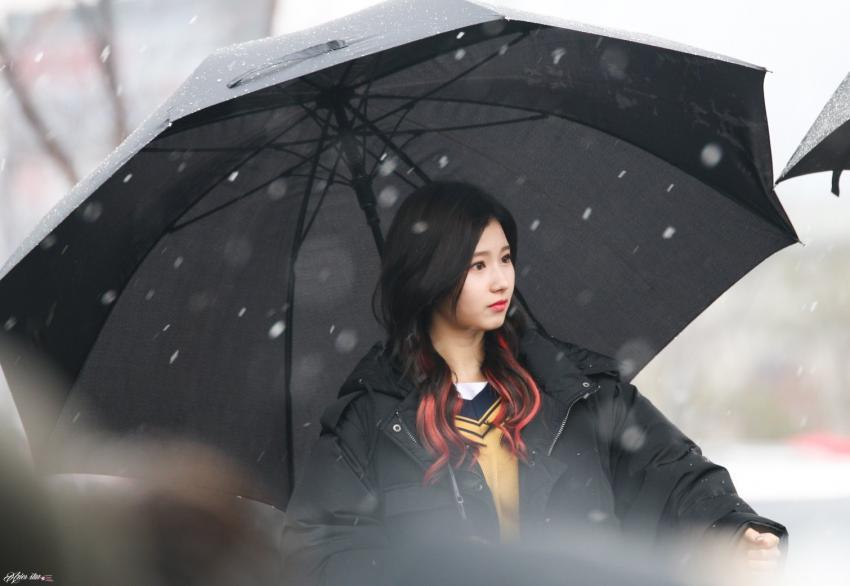 [트와이스] 첫눈속에 피는 사나 | 인스티즈