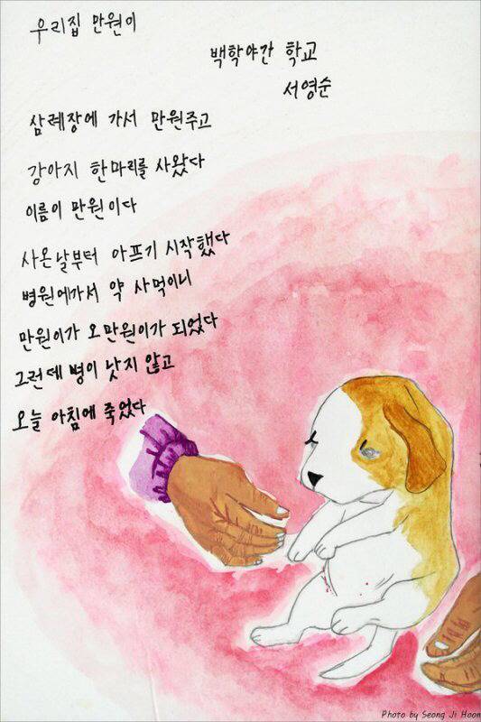 뒤늦게 한글을 배우신 할머니들의 시와 편지 모음 | 인스티즈