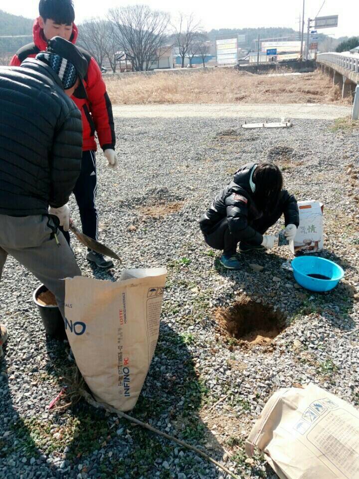 2월19일 일요일. 개소주가 되어버린 나의 가족 매실이를 예쁜매실나무로 만들어 보내주었습니다 | 인스티즈