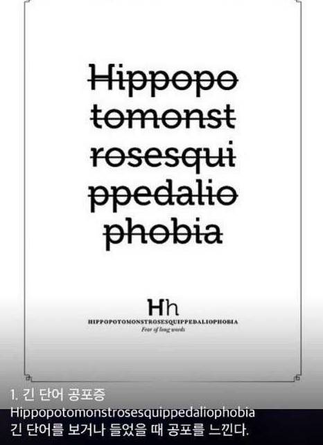 공포증 종류 | 인스티즈