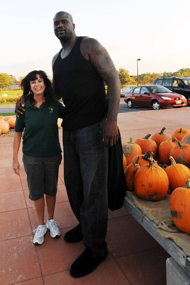 키가 같은 운동선수 중 가장 갑이거나 가장 떠오르는 선수 (195이상) | 인스티즈