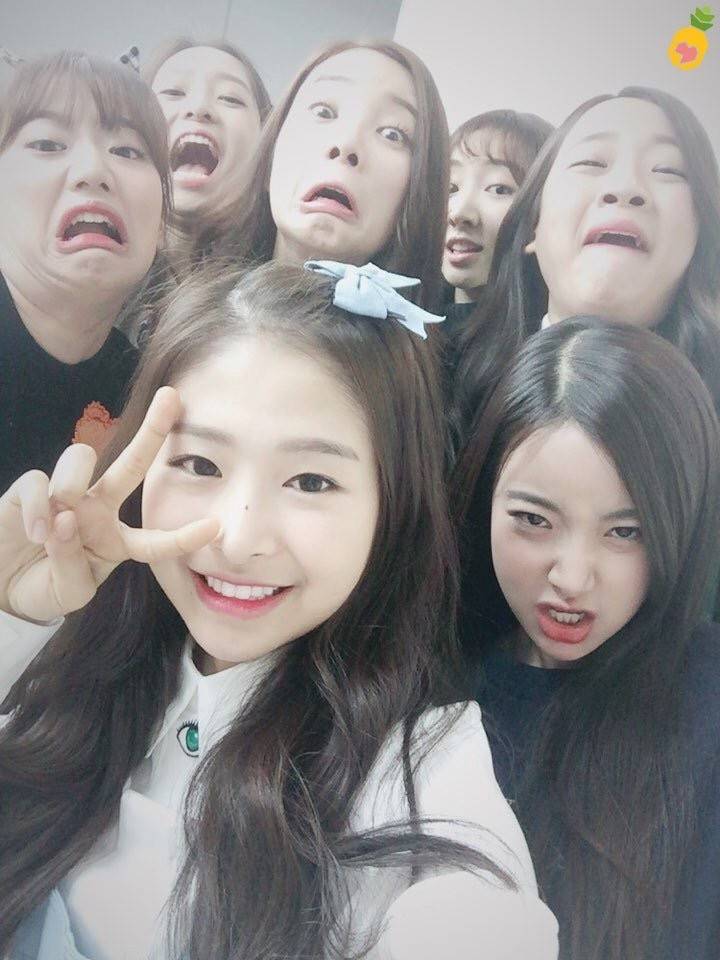 채경이랑 에이프릴 같이 찍은 사진 모음 | 인스티즈