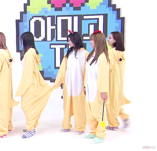 민화투자키 사나.gif | 인스티즈