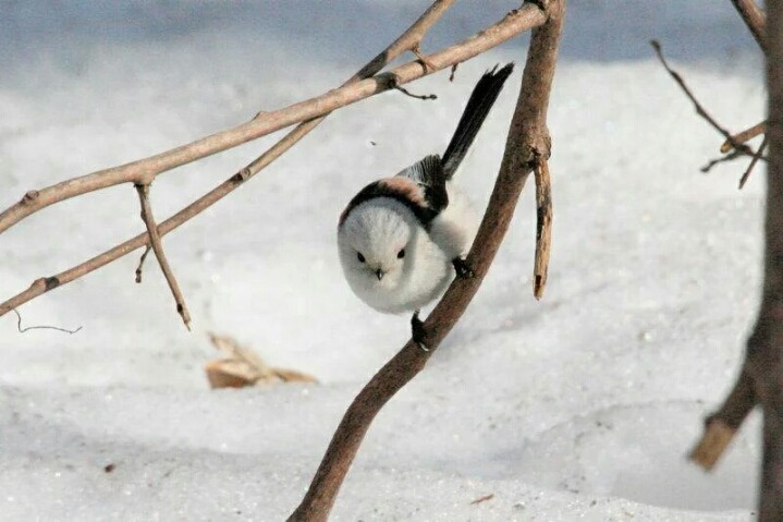 내가 생각하는 창작물에서 제일 구린 연출.twt | 인스티즈