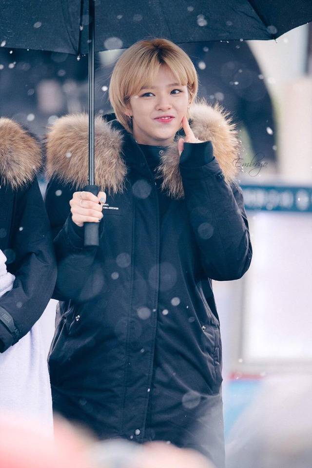 트와이스에서 단발한 이쁜애 정연이 | 인스티즈