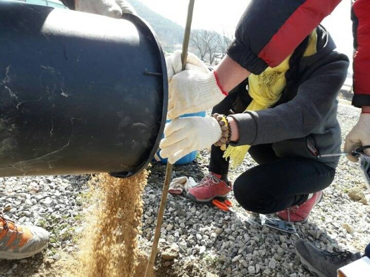 2월19일 일요일. 개소주가 되어버린 나의 가족 매실이를 예쁜매실나무로 만들어 보내주었습니다 | 인스티즈