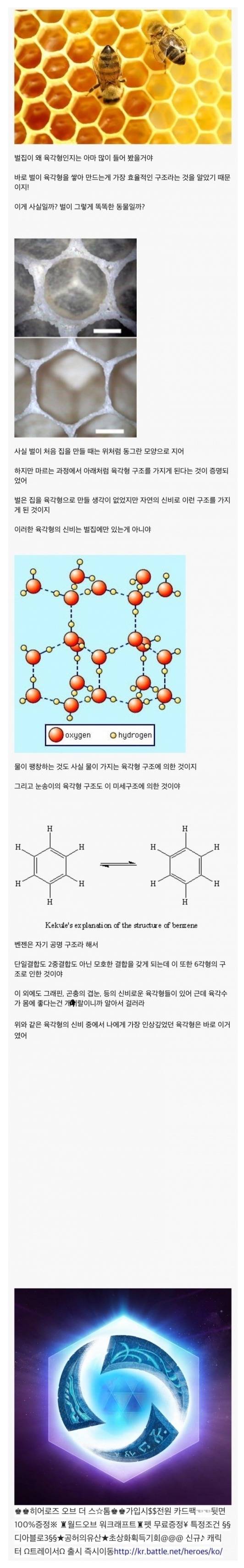벌집이 육각형인 이유.jpg | 인스티즈