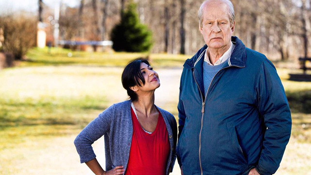 상처가 많아 감정 표현이 서툰 당신을 위한 영화 오베라는 남자 | 인스티즈