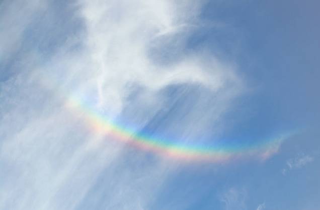 특이한 무지개들 | 인스티즈