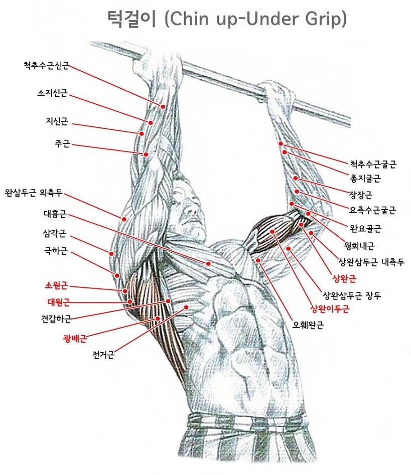 턱걸이 좀 하는 사람들 .jpg | 인스티즈