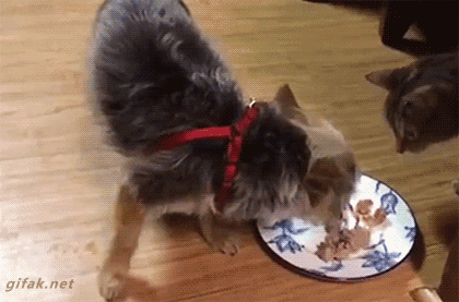 ???:아오 이 야 | 인스티즈