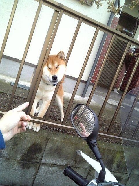 그동안 엄선해서 저장해온 지구뿌셔짤(1).jpggif (데이터주의) | 인스티즈