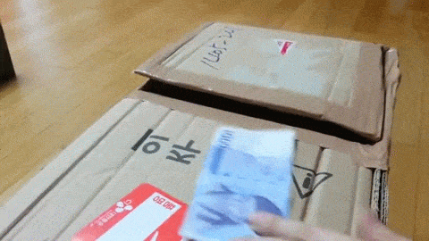 사람 심쿵하게 만드는 동물들의 발.gif | 인스티즈