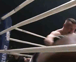 어제자 크로캅 복귀전 | 인스티즈