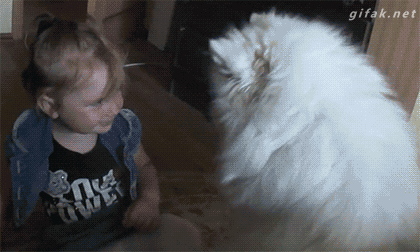 애기 우쭈쭈하는 개 .gif | 인스티즈