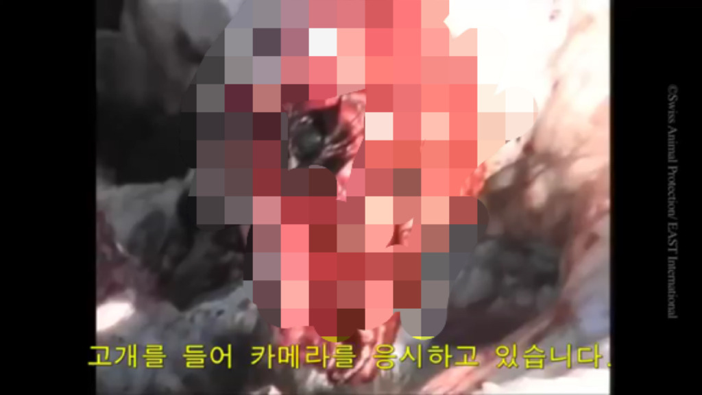 모르고 쓰는거면 몰라도 알면서 쓰는 사람들은 솔직히 인간으로 존중 못하겠는 부분.jpg (혐오주의) | 인스티즈