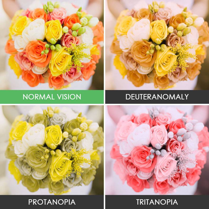 색각 이상인들 눈에 보이는 세상 | 인스티즈