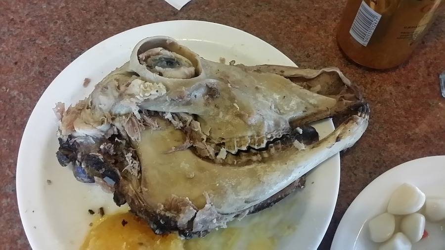 아이슬란드에서 먹은 충격적인 양머리 요리.jpg (혐오주의) | 인스티즈