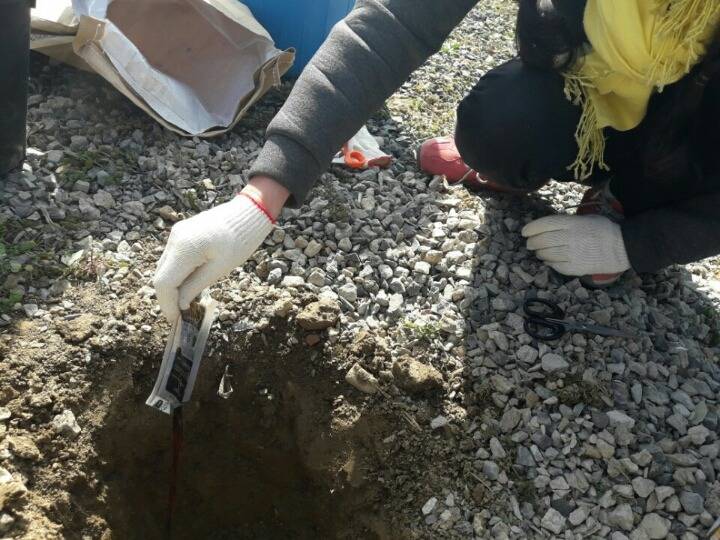 2월19일 일요일. 개소주가 되어버린 나의 가족 매실이를 예쁜매실나무로 만들어 보내주었습니다 | 인스티즈