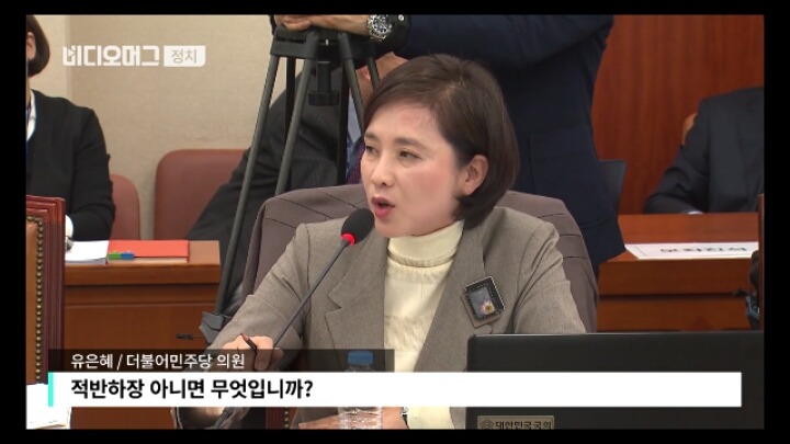 Q. 국회 교문위에서 사돈 남말한다는 문장이 제일 잘 어울리는 의원은? A. 전희경 | 인스티즈