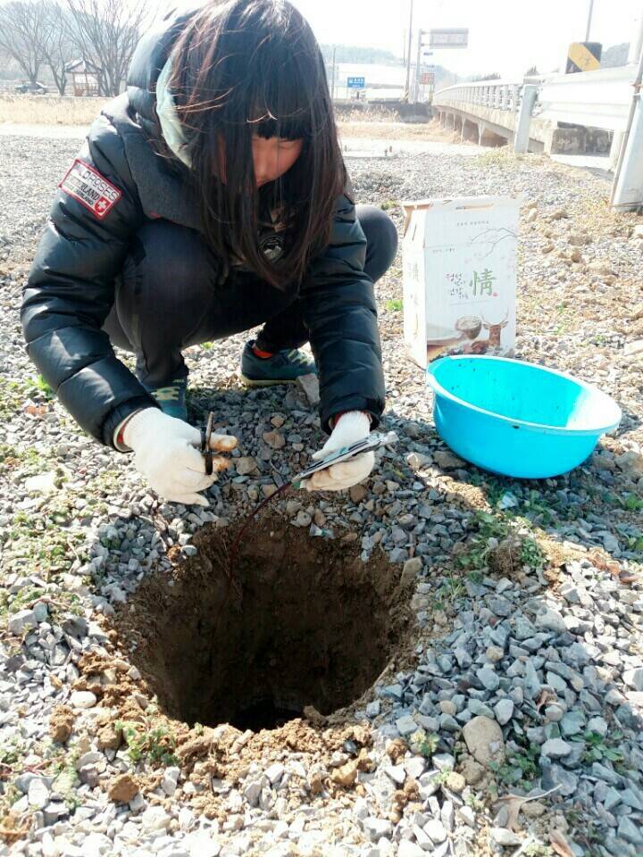 2월19일 일요일. 개소주가 되어버린 나의 가족 매실이를 예쁜매실나무로 만들어 보내주었습니다 | 인스티즈
