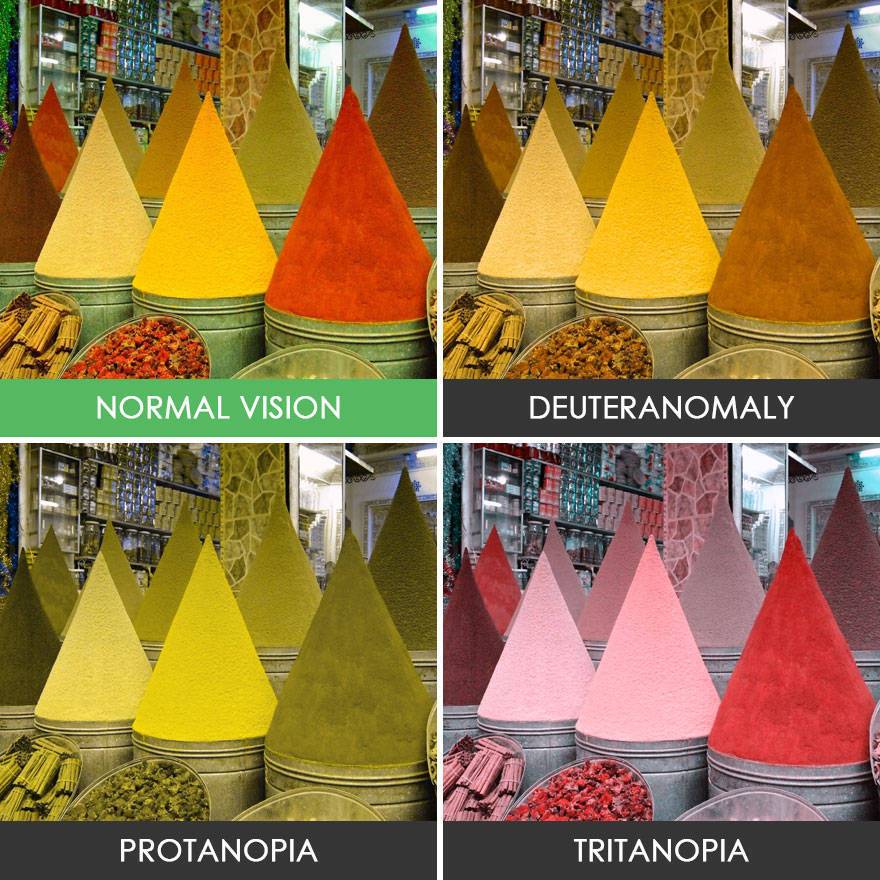 색각 이상인들 눈에 보이는 세상 | 인스티즈