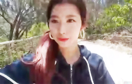 호주에서 v앱한 트와이스 다현-사나 (데이터주의) | 인스티즈