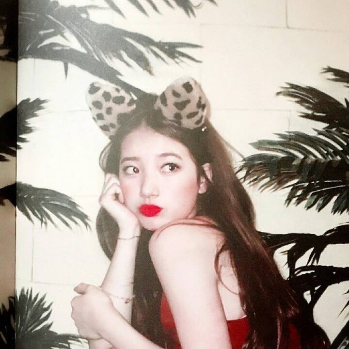 정채연이 말하는 수지 | 인스티즈