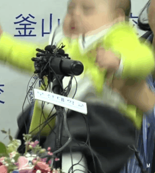 전세계에서 핫한 스타 BBC 방송사고 가족 공식 기자회견 짤.GIF | 인스티즈