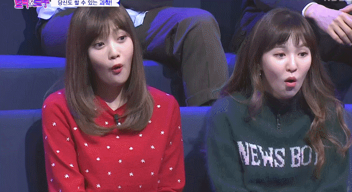 갑자기 예능 일정이 늘어난 지금까지 레드벨벳 12월 스케쥴 정리 | 인스티즈