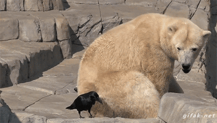 깜짝아 .GIF | 인스티즈