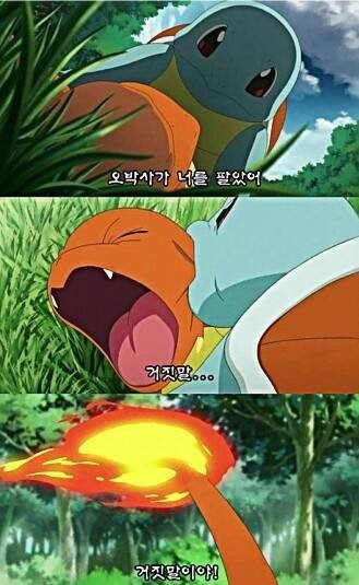 꼬부기 인생짤.gif | 인스티즈