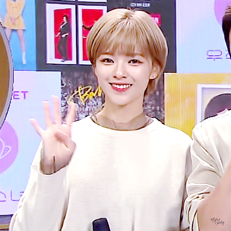 취향따라 갈린다는 트와이스 비쥬얼.gif | 인스티즈