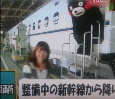 그동안 엄선해서 저장해온 지구뿌셔짤(1).jpggif (데이터주의) | 인스티즈