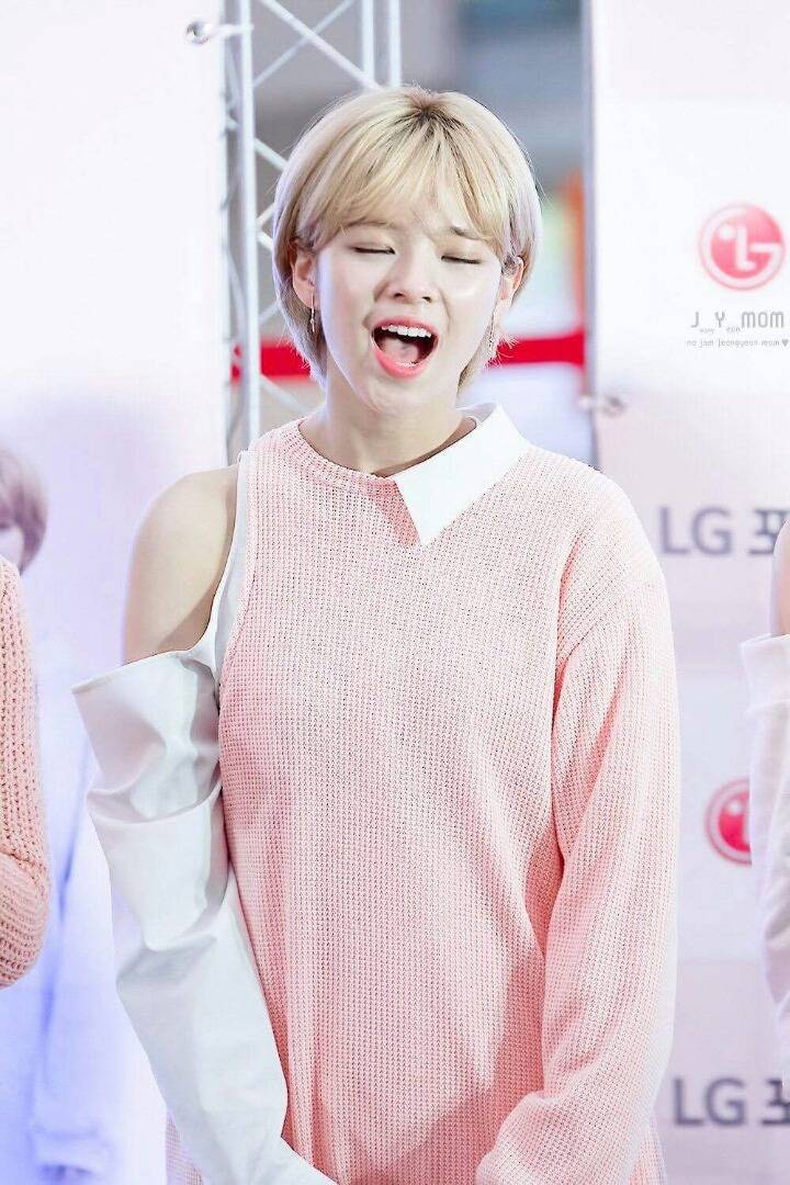 정연이 지효 | 인스티즈