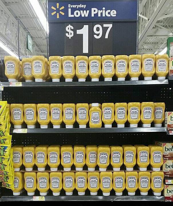 보면 편안해지고 마음이 안정되는 사진들.jpg | 인스티즈