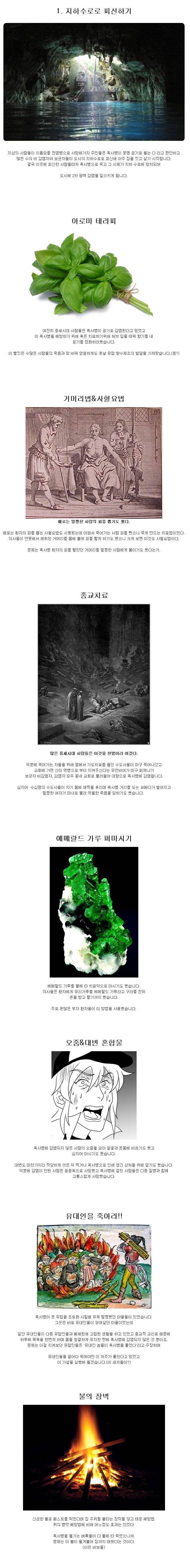 흑사병과 중세시대 주민들의 뻘짓 | 인스티즈